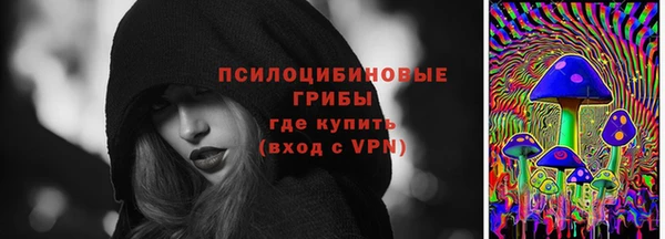 крисы Армянск