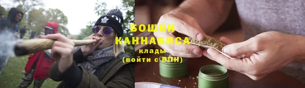 сатива Баксан