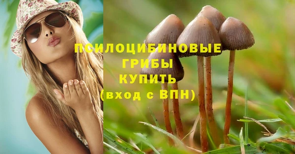 крисы Армянск
